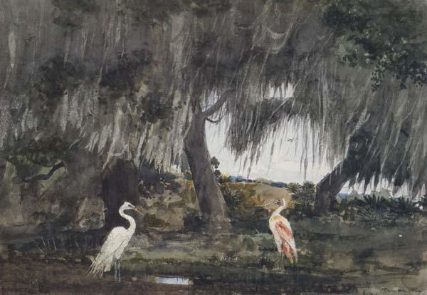 Winslow Homer At Tampa (mk44) Spain oil painting art